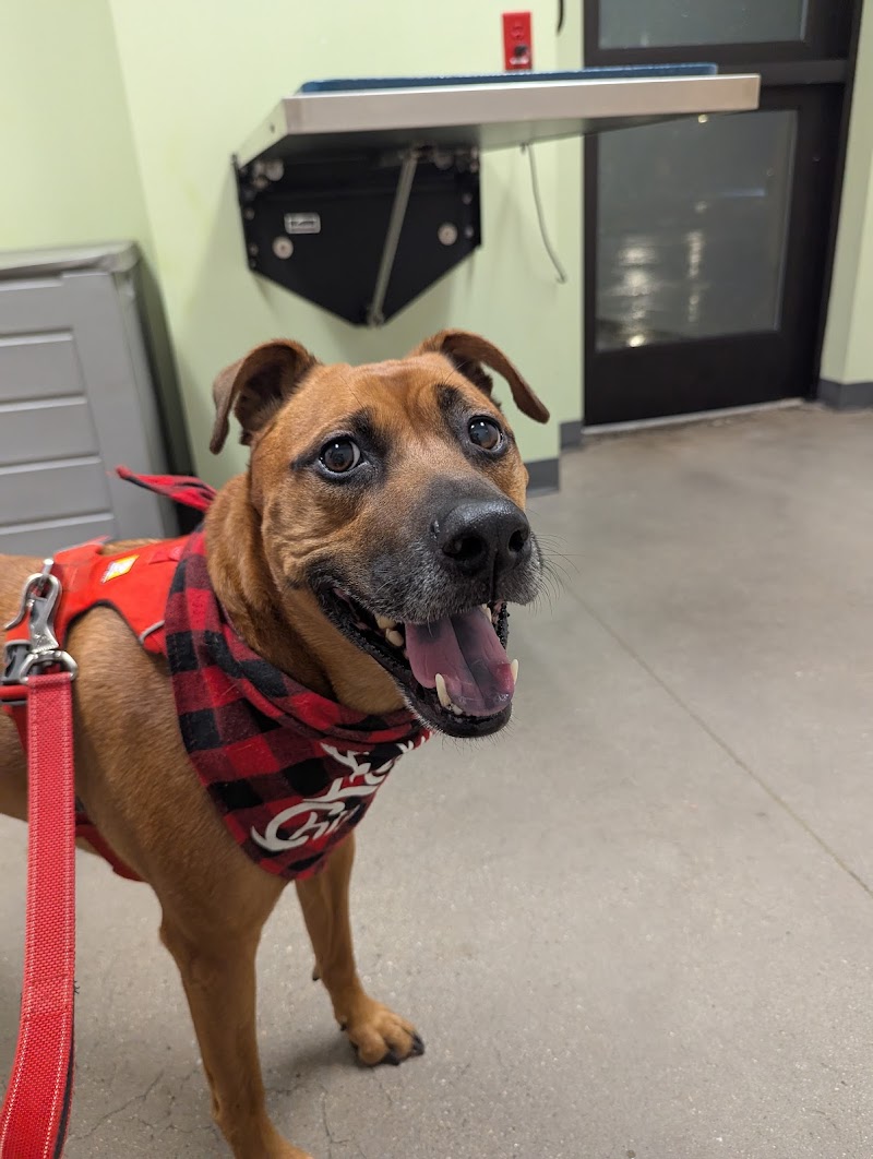 Bulger Veterinary Hospital