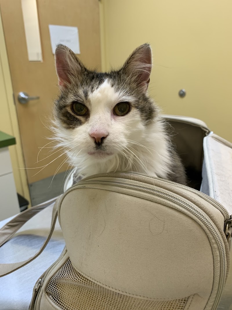 Nokomis Pet Clinic