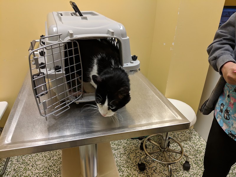 Nokomis Pet Clinic