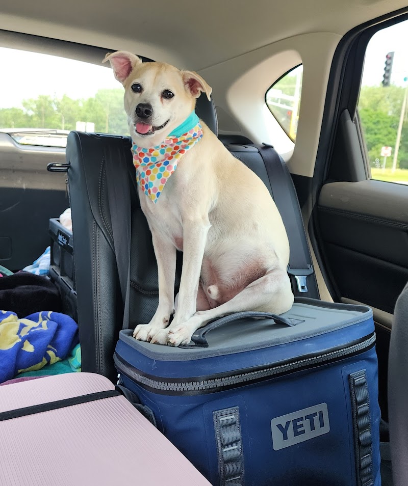 Nokomis Pet Clinic
