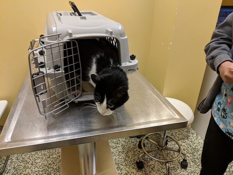 Nokomis Pet Clinic