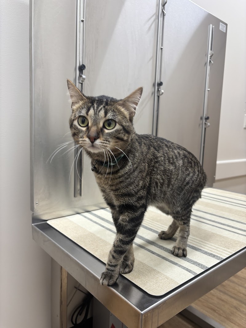 Portage Park Animal Hospital