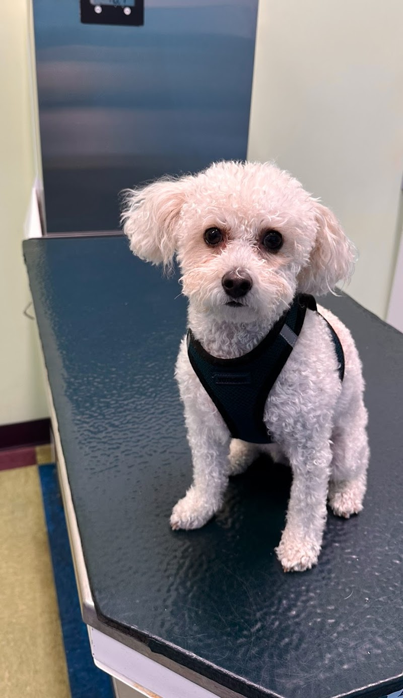 Portage Park Animal Hospital