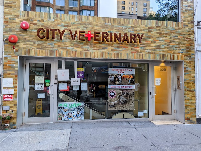 City Veterinary Care