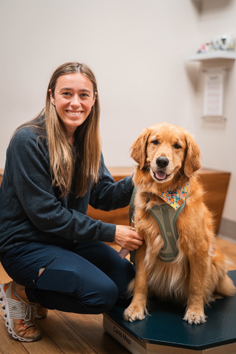 Vet Partners Minneapolis