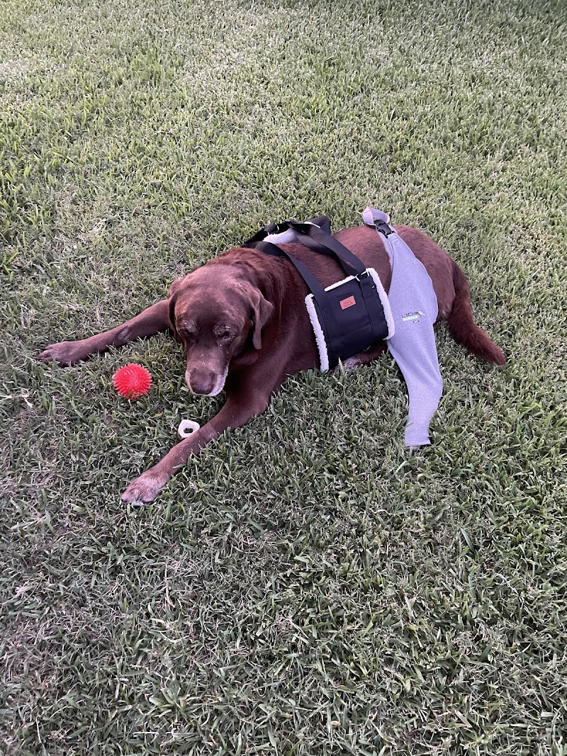 Mobile Veterinary Specialist
