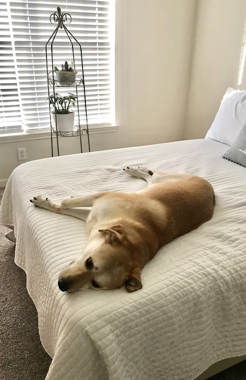 Mobile Veterinary Specialist