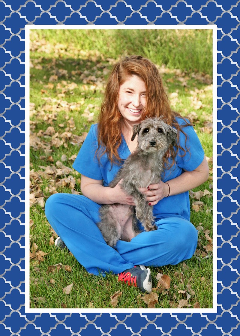 Apache Animal Hospital - Saint Anthony