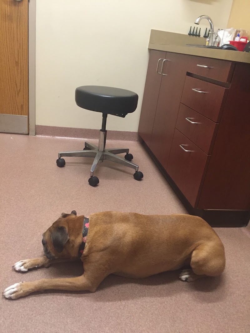 VCA Central Park Animal Hospital