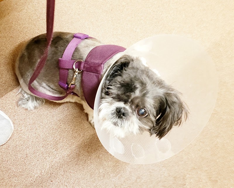 VCA Central Park Animal Hospital