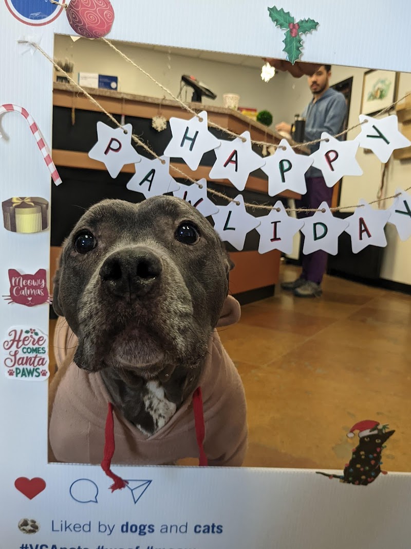 VCA College Park Animal Hospital