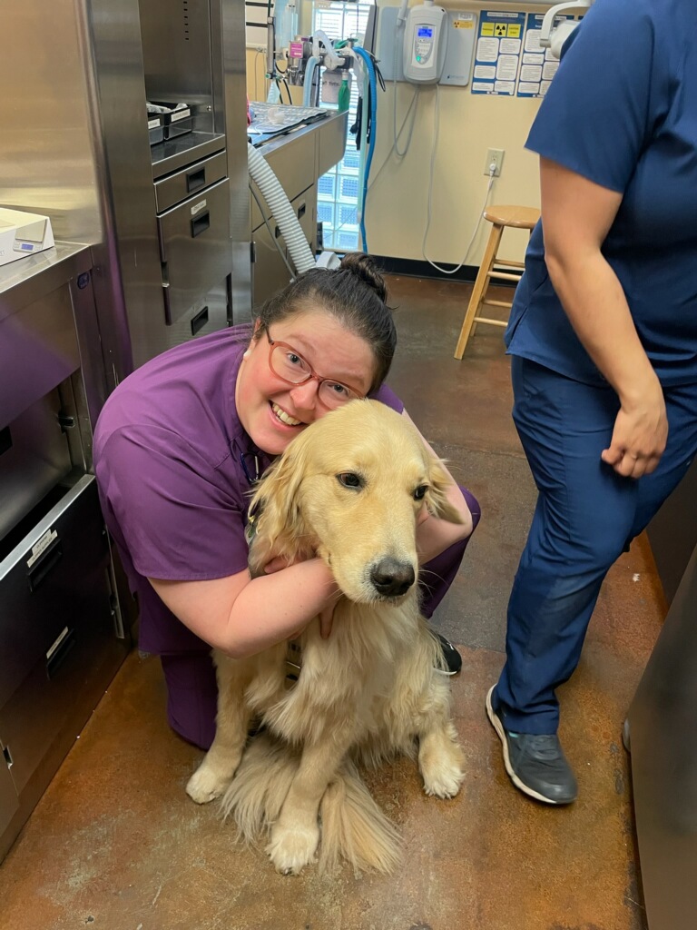 VCA College Park Animal Hospital