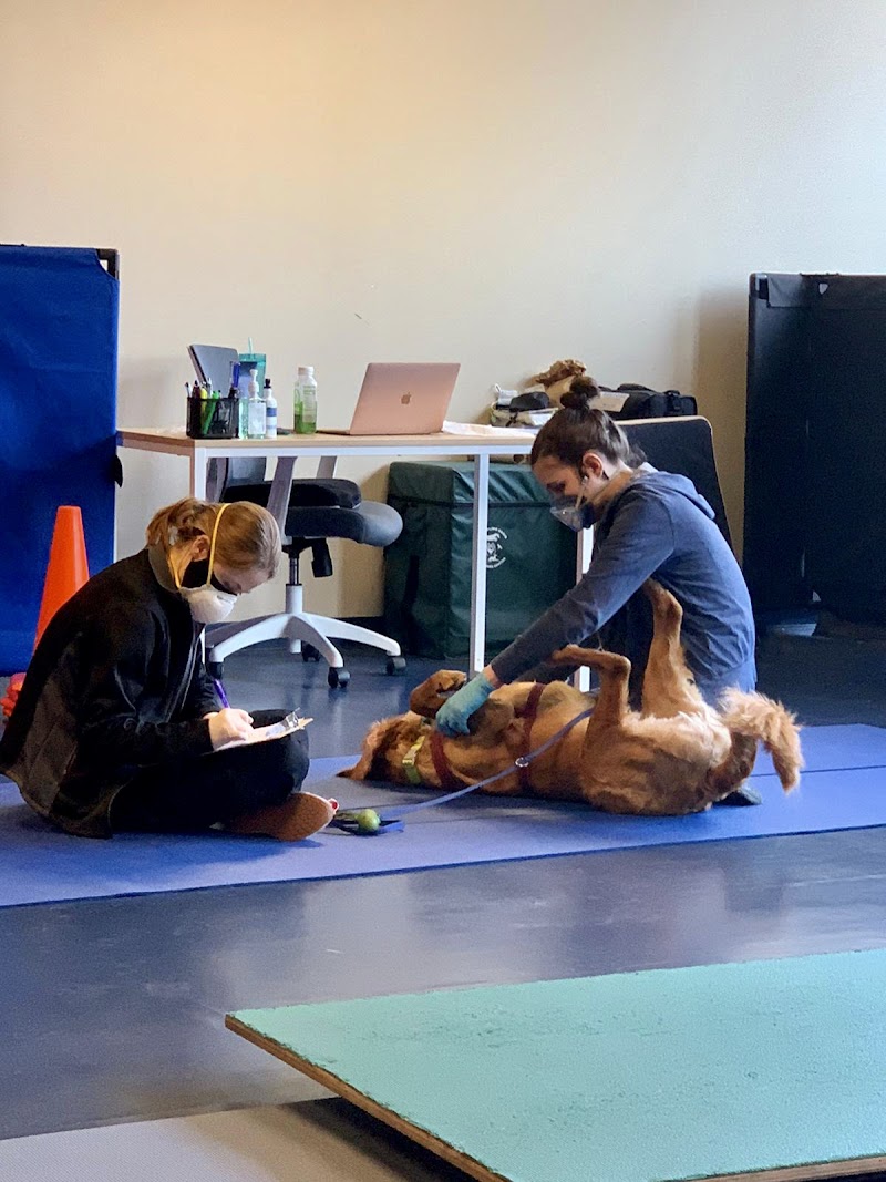 Integrative Pet Care