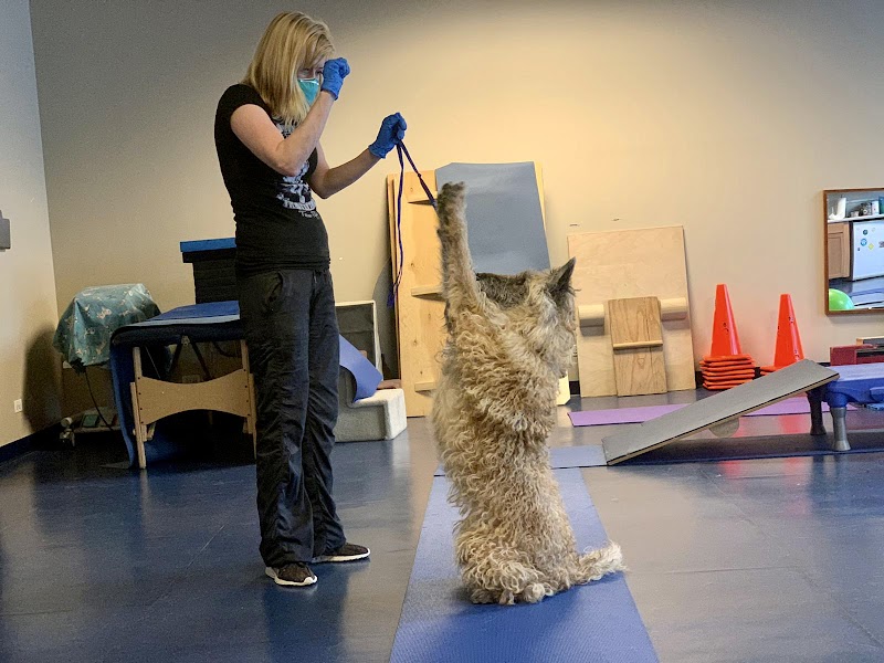 Integrative Pet Care