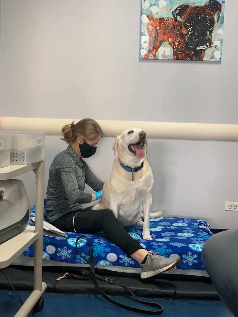 Integrative Pet Care