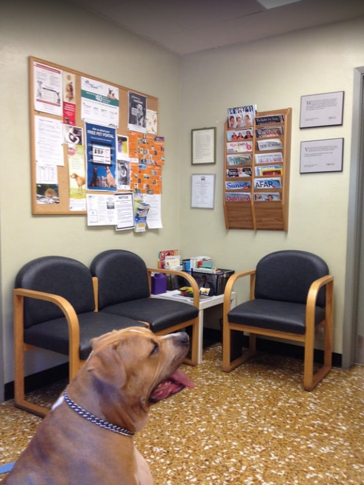 Thornhill Pet Hospital
