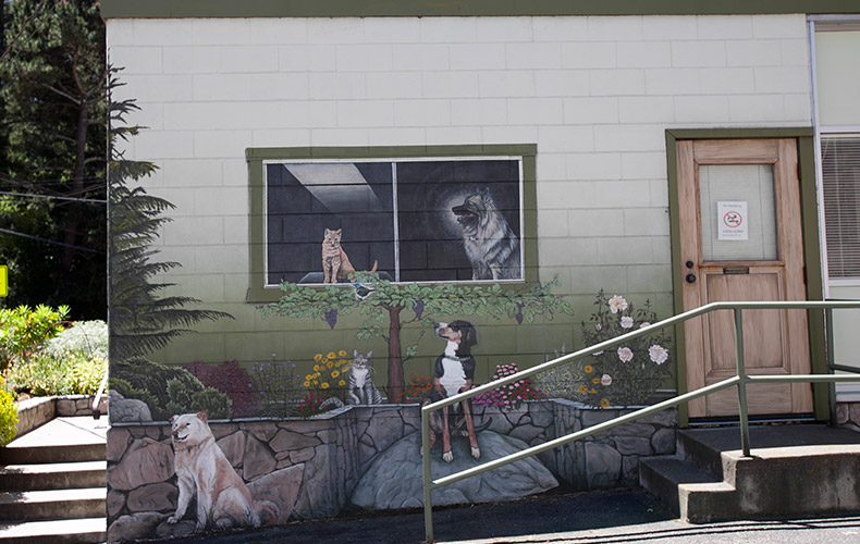 Thornhill Pet Hospital
