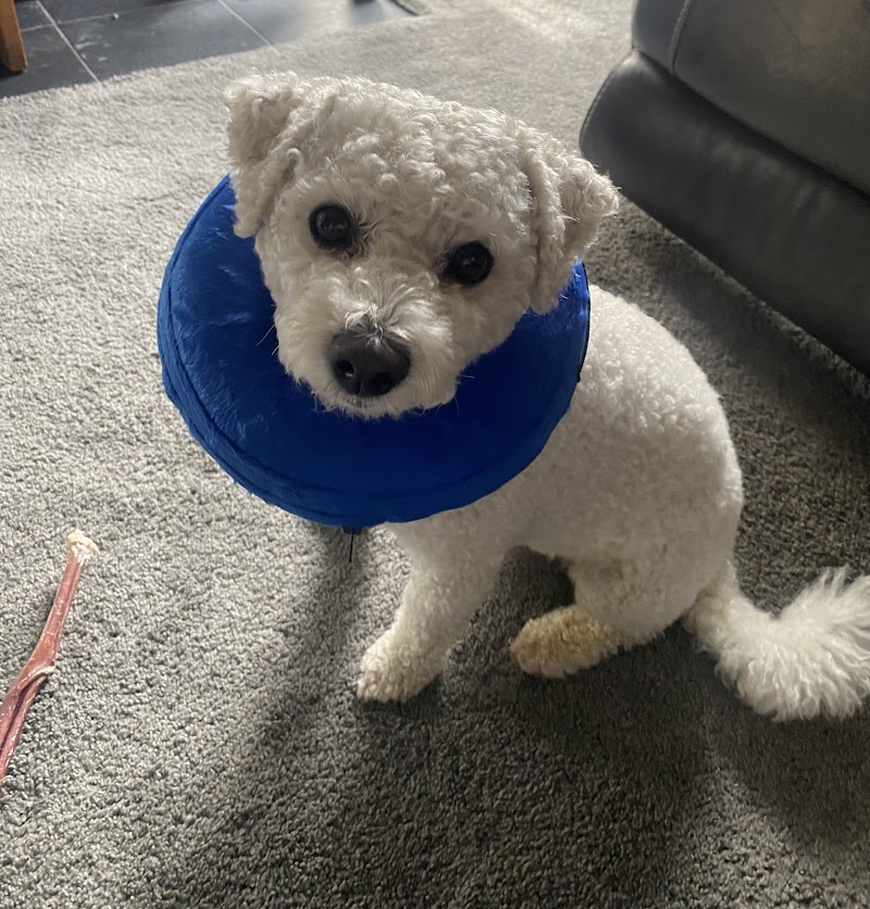 Thornhill Pet Hospital