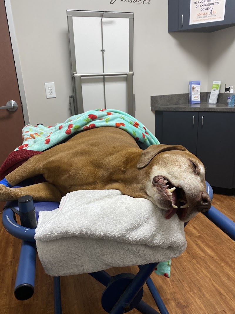 Animal ER of Northwest Houston