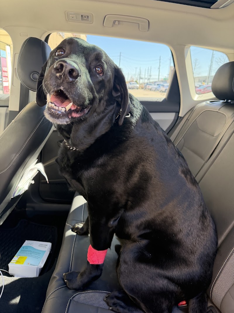 Animal ER of Northwest Houston