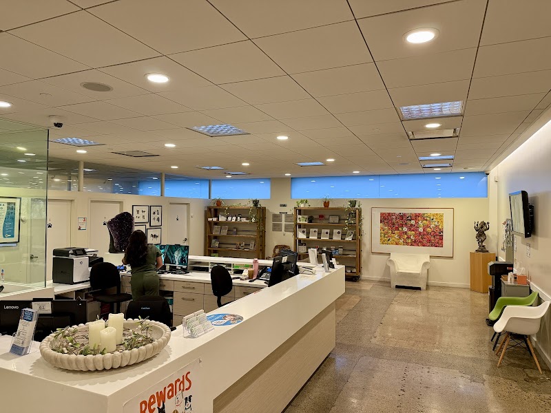 Bodhi Animal Hospital, A Thrive Pet Healthcare Partner