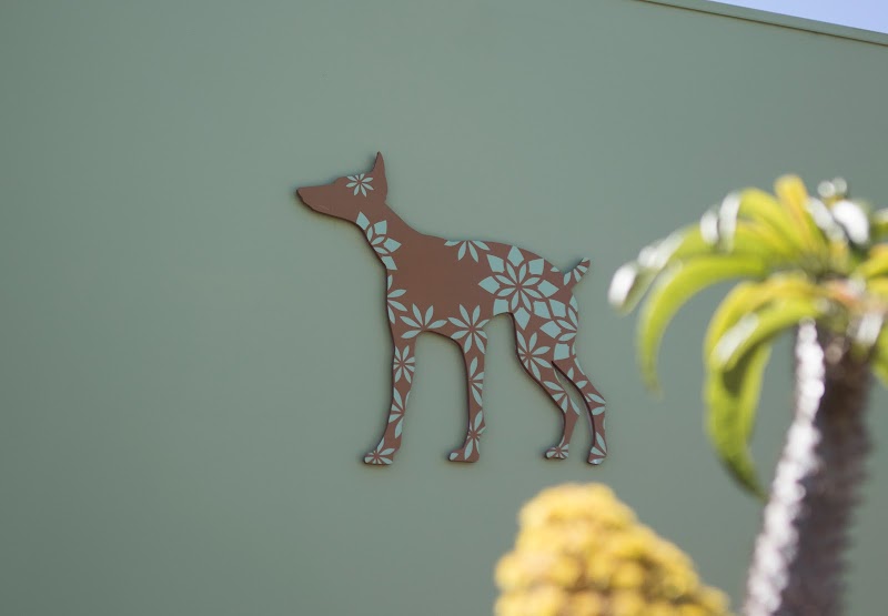 Bodhi Animal Hospital, A Thrive Pet Healthcare Partner