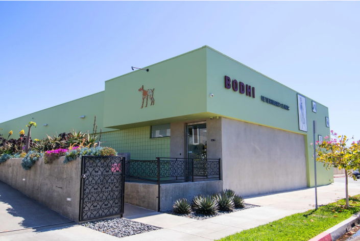Bodhi Animal Hospital, A Thrive Pet Healthcare Partner