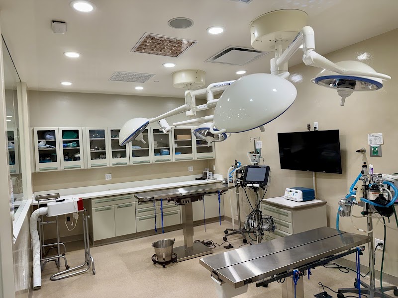 Bodhi Animal Hospital, A Thrive Pet Healthcare Partner