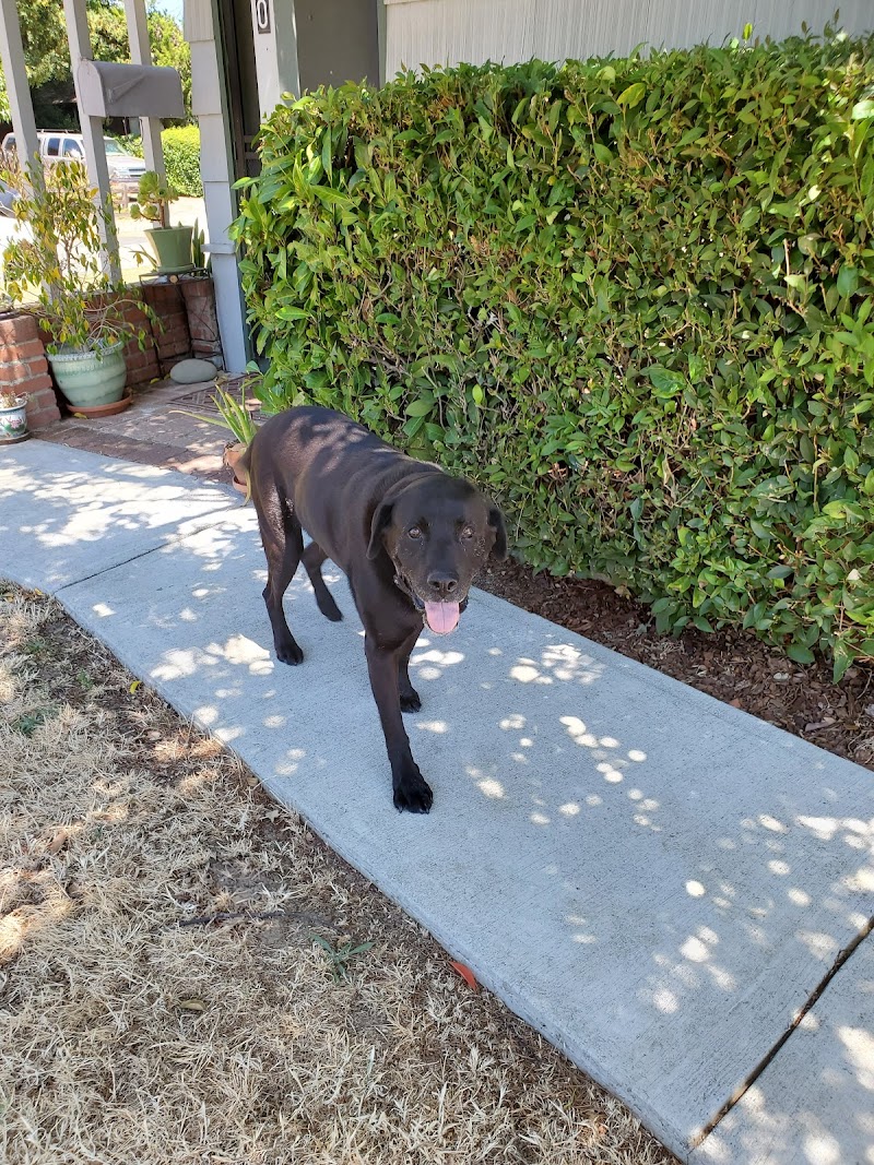 San Rafael Animal Hospital