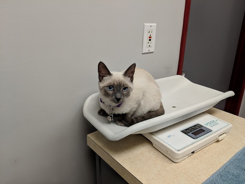 San Carlos Animal Hospital