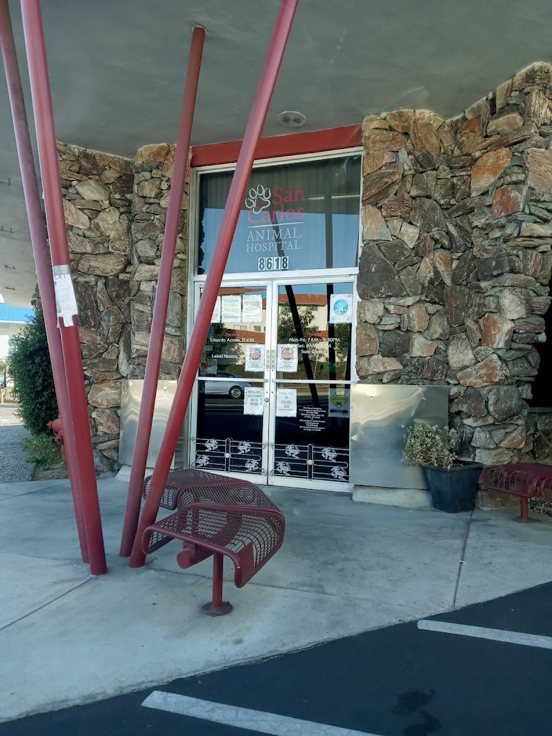 San Carlos Animal Hospital