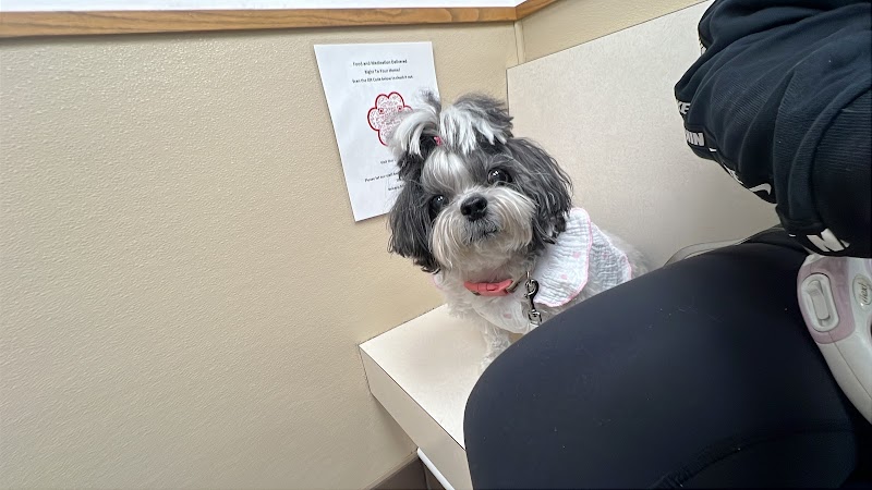 Belcaro Animal Hospital