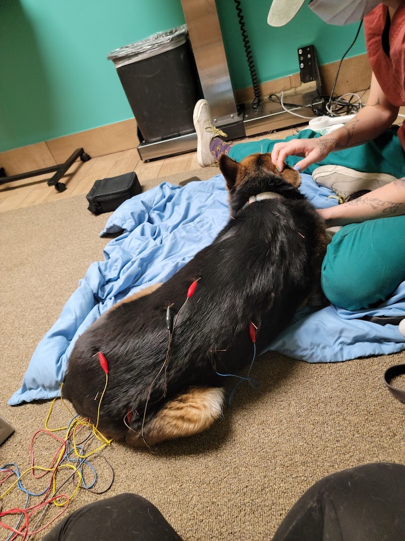 Belcaro Animal Hospital