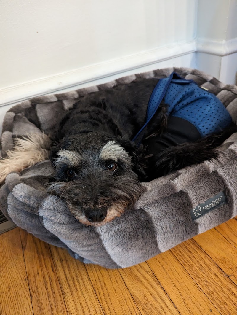 BluePearl Pet Hospital