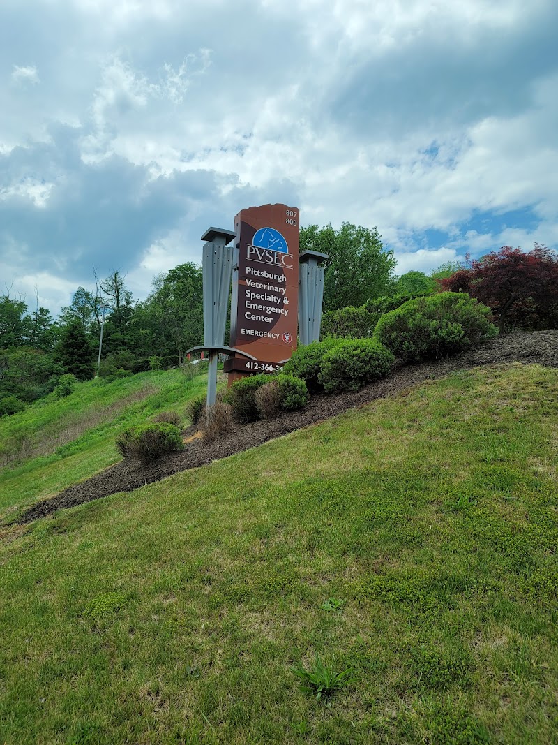 Pittsburgh Veterinary Cardiology