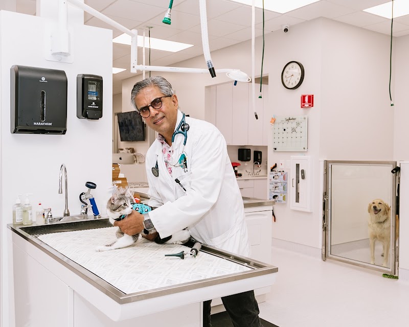 Rancho Bernardo Pet Hospital