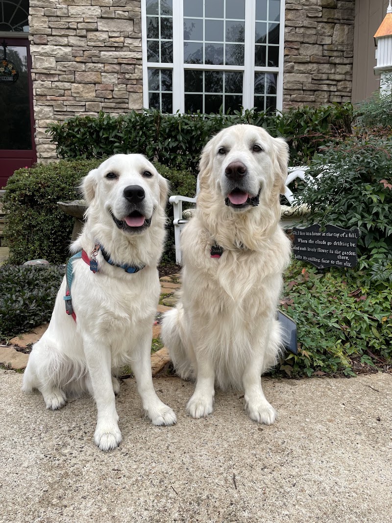 Crossroads Animal Hospital