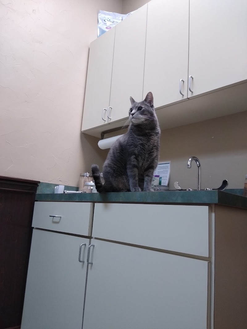 Vickery Place Animal Hospital