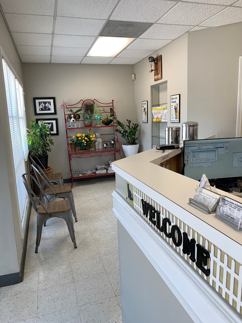 Veterinary Center of Buckhead