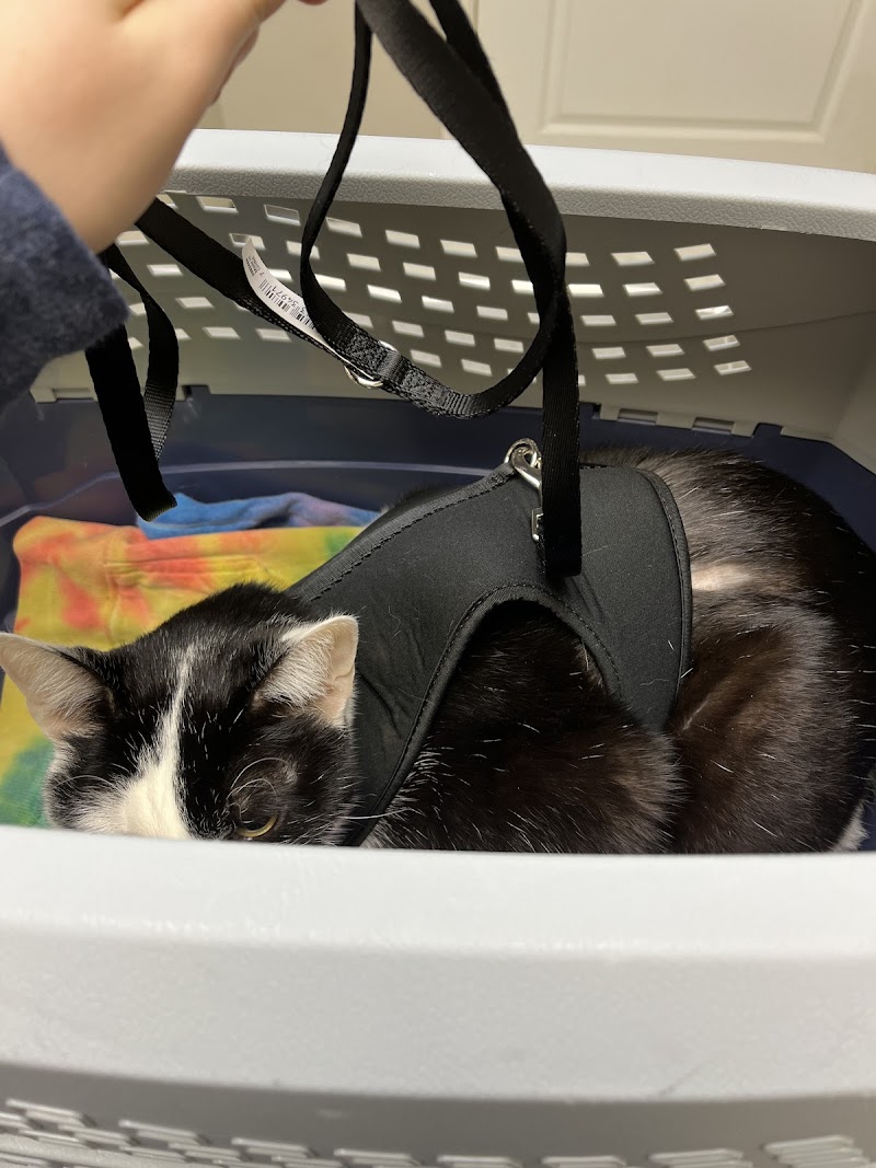 Veterinary Center of Buckhead