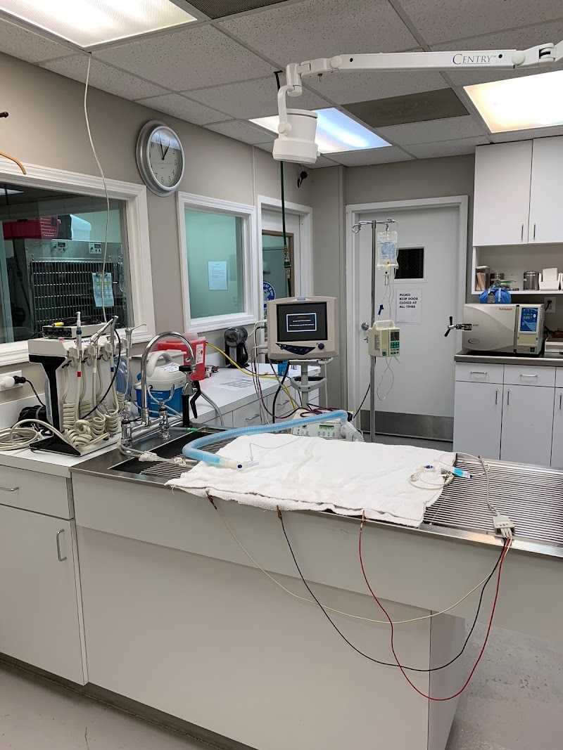 Veterinary Center of Buckhead