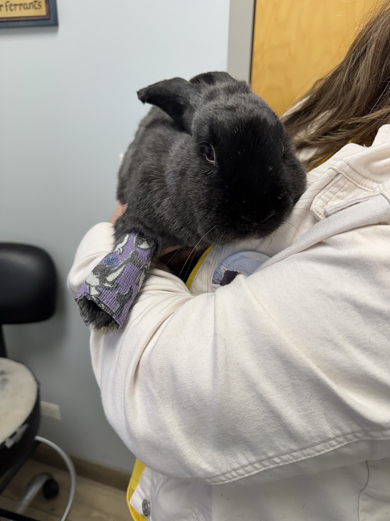 Midwest Bird and Exotic Animal Hospital