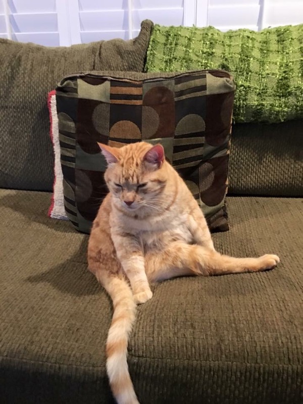 Redondo Shores Veterinary Center