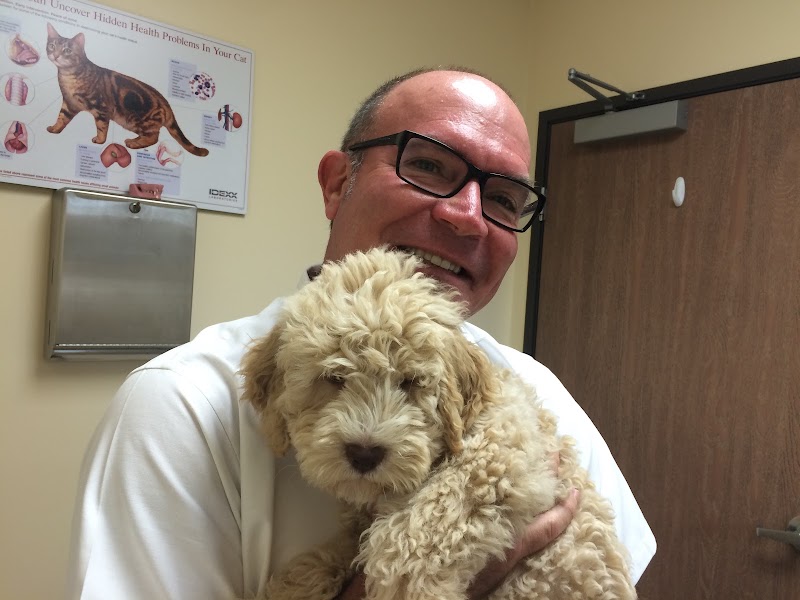 Redondo Shores Veterinary Center