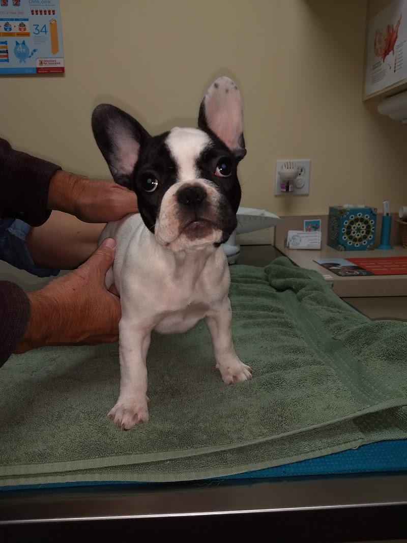 Redondo Shores Veterinary Center