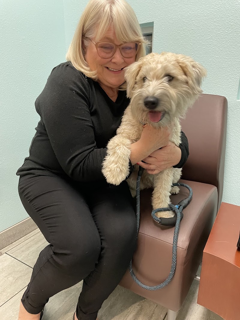 1st Pet Veterinary Centers - Chandler