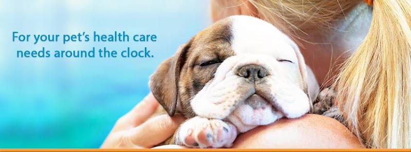1st Pet Veterinary Centers - Chandler