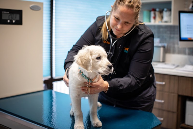 1st Pet Veterinary Centers - Chandler