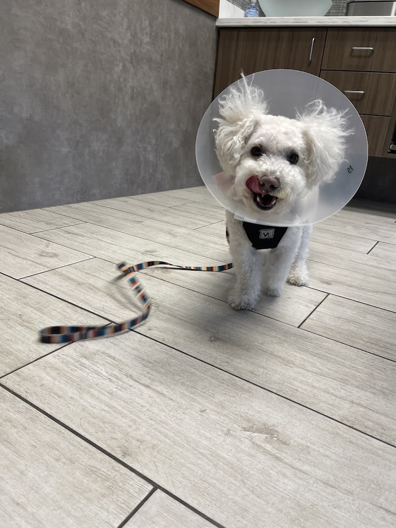 1st Pet Veterinary Centers - Chandler