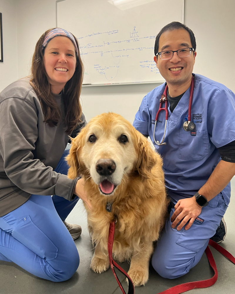BluePearl Pet Hospital Kirkland